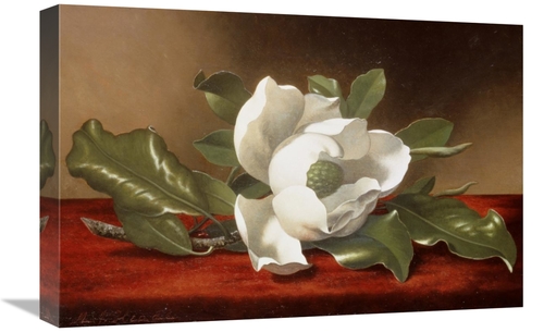 Global Gallery GCS-268075-22-142 22 in. Magnolia Art Print - Martin Jo