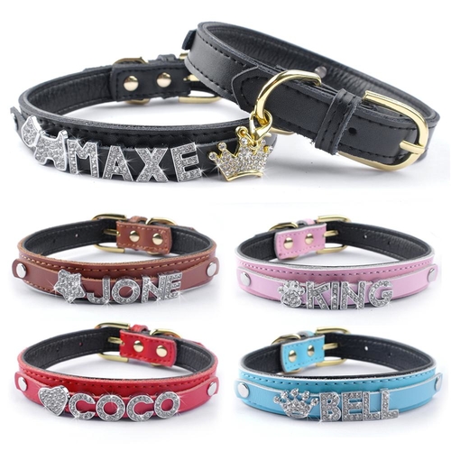 Padded Leather Customized Cat Dog Personalized