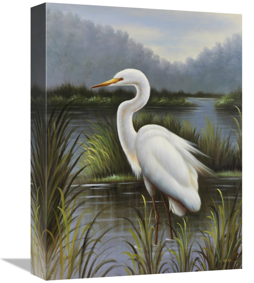 Global Gallery GCS-132465-1216-142 12 x 16 in. Morning Egret Art Print