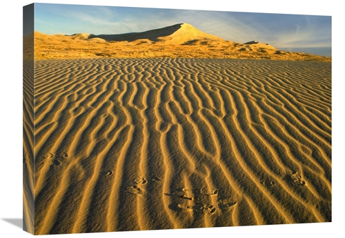 Global Gallery GCS-396673-1824-142 18 x 24 in. Wind Ripples in Kelso D