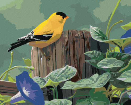 Zuty - Paint by Numbers â€“ GOLDFINCH ON A FENCE AND PURPLE FLOWERS