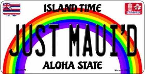 Smart Blonde BP-12573 3 x 6 in. Just Mauid Novelty Metal Bicycle Plate