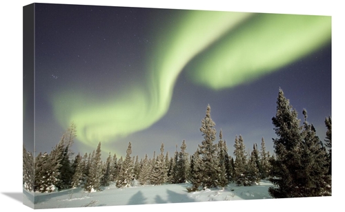 Global Gallery GCS-395454-1624-142 16 x 24 in. Northern Lights or Auro