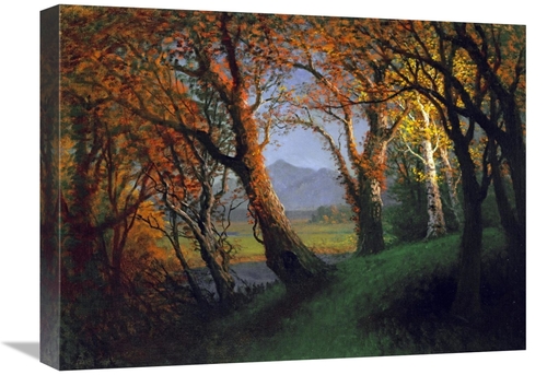 Global Gallery GCS-267715-22-142 22 in. Sunset in the Nebraska Territo