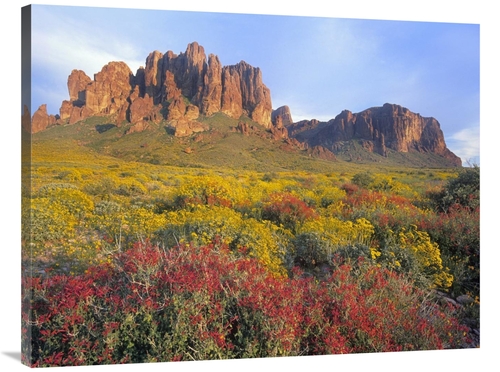 Global Gallery GCS-396483-3040-142 30 x 40 in. Chuparosa & Brittlebush