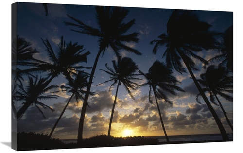 Global Gallery GCS-452851-2436-142 24 x 36 in. Coconut Palm Trees At S