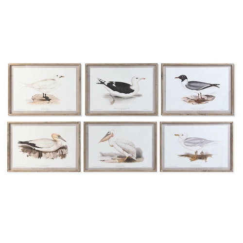 Painting DKD Home Decor 70 x 2,5 x 50 cm Traditional Birds (6 Pieces)