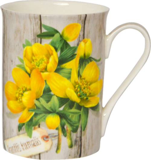 Boston International BOB770500 Eranthis Hyemal Bone China Mug