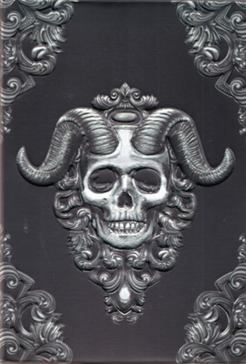 5 1/2" x 8" Demon Skull journal (hc)