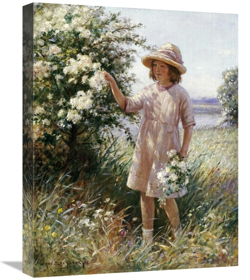 Global Gallery GCS-267745-22-142 22 in. Picking May Blossom Art Print 