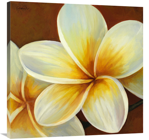 Global Gallery GCS-137413-3636-142 36 x 36 in. Frangipani I Art Print 
