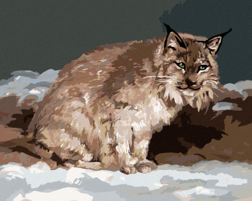 Zuty - Paint by Numbers - LYNX IN WINTER (D. RUSTY RUST), 40x50 cm