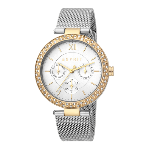 Esprit ES1L189M0105 Betty Silver Gold Mesh Ladies Watch