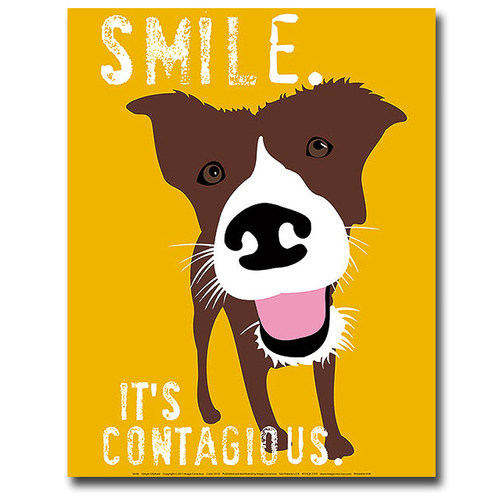 Artistic Home Gallery 1620H364IG Smile by Ginger Oliphant Premium Gall