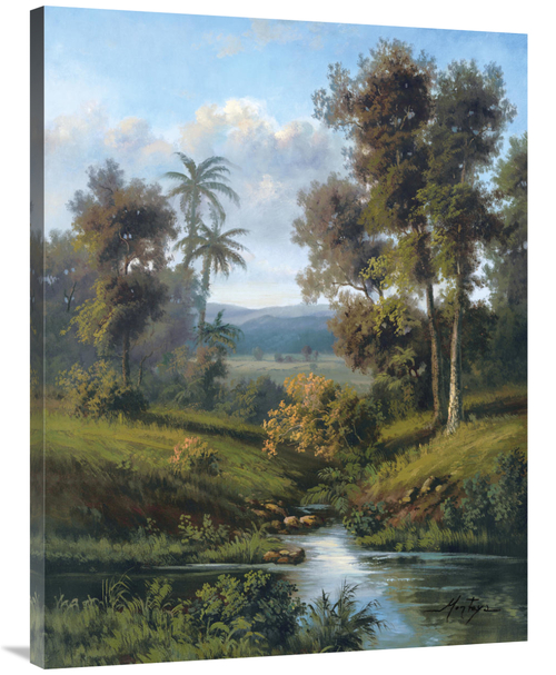 Global Gallery GCS-114658-3040-142 30 x 40 in. Shades of Evening Art P