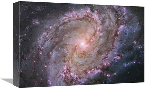 Global Gallery GCS-450037-1218-142 12 x 18 in. M83 - Spiral Galaxy Art