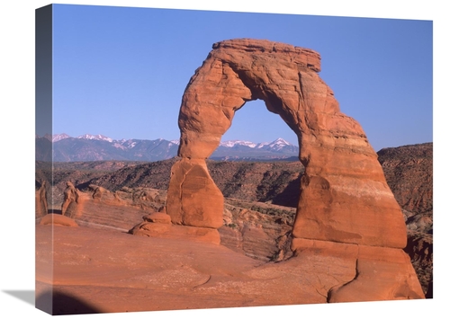 Global Gallery GCS-396597-1620-142 16 x 20 in. Delicate Arch & La Sal 