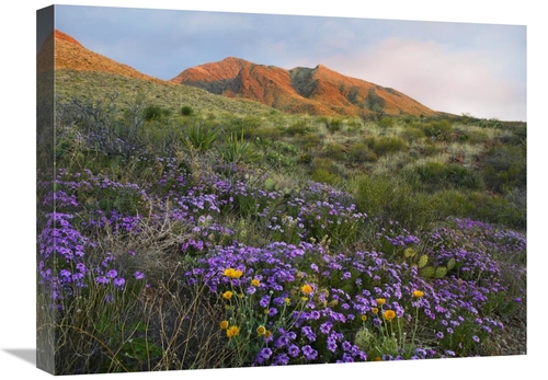 Global Gallery GCS-396919-1824-142 18 x 24 in. Herb of the Cross at Fr