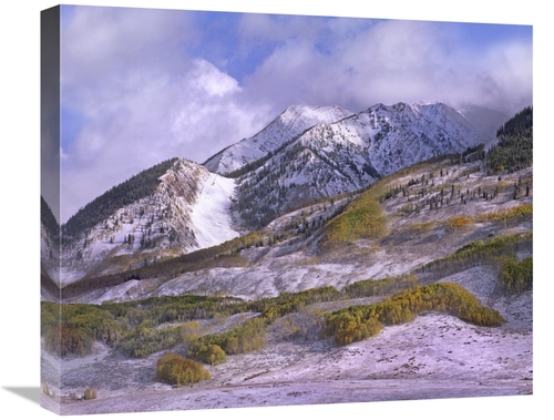 Global Gallery GCS-396180-22-142 22 in. Elk Mountains with Snow in Aut