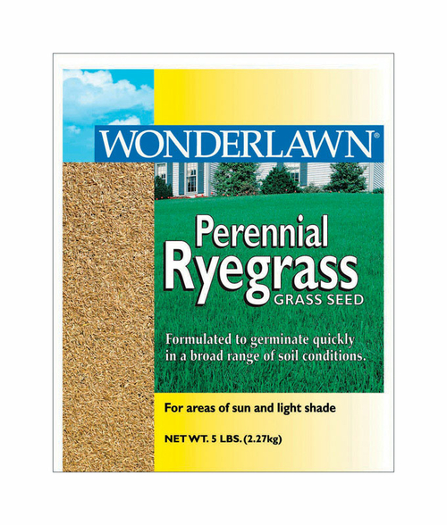 Barenbrug 71570 Perennial Ryegrass Lawn Seed Blend, 5 lbs