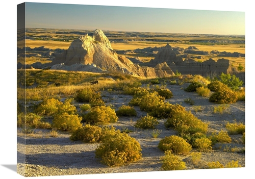 Global Gallery GCS-397096-1824-142 18 x 24 in. Coyote Bush & Eroded Fe