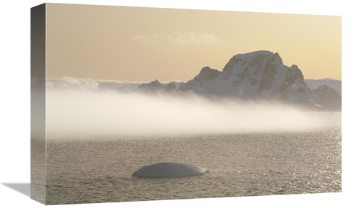 Global Gallery GCS-451328-1218-142 12 x 18 in. Fog Bank Hugging Foot o