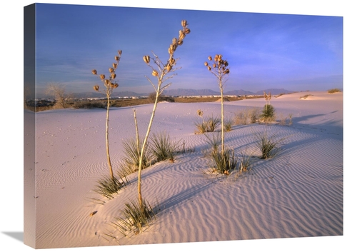 Global Gallery GCS-396142-1824-142 18 x 24 in. White Sands National Mo