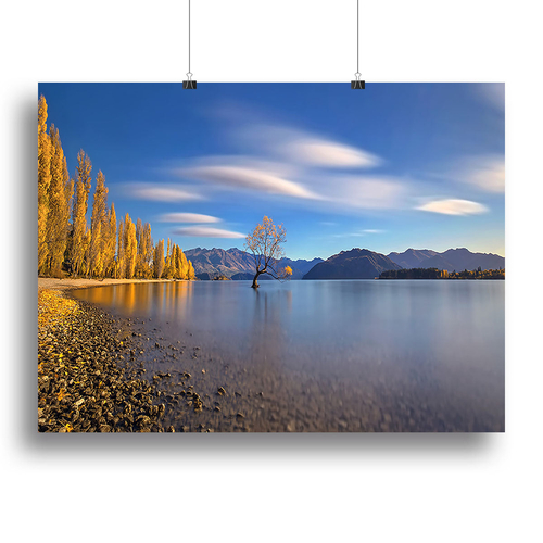 Autumn In Lake Wanaka Canvas Print or Poster