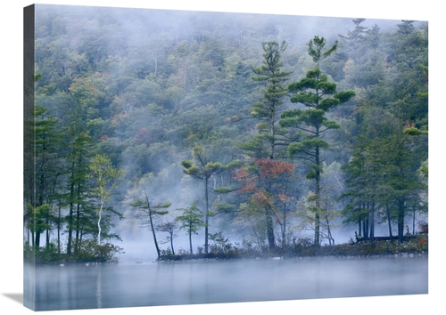 Global Gallery GCS-396393-2432-142 24 x 32 in. Emerald Lake in Fog&#44