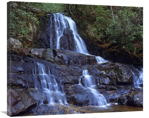 Global Gallery GCS-396827-36-142 36 in. Waterfall, Laurel Creek&#4