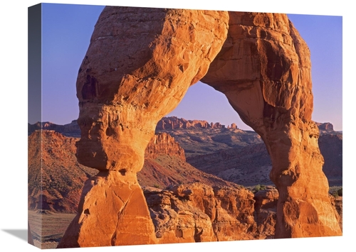 Global Gallery GCS-396598-1620-142 16 x 20 in. Delicate Arch & La Sal 