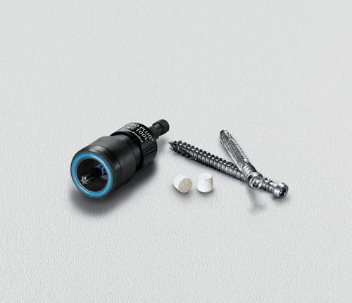 Starborn 5001442 Pro Plug No. 10 x 2.5 in. Star Trim Head Smooth Stain