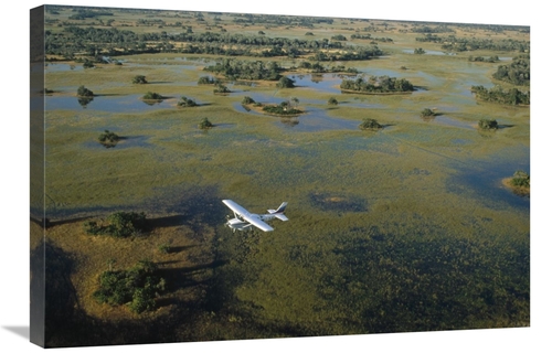 Global Gallery GCS-452365-2030-142 20 x 30 in. Flight Safari, Okav