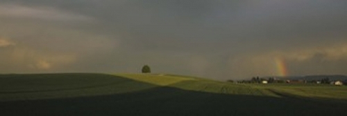 Storm clouds over a field  Canton Of Zurich  Switzerland Poster Print 