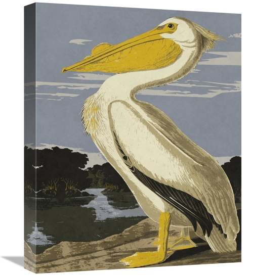 Global Gallery GCS-394763-1620-142 16 x 20 in. Audubon Decor - Pelican