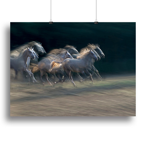A Horses Gallop Canvas Print or Poster