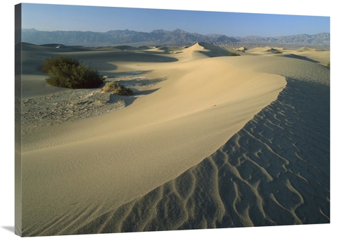 Global Gallery GCS-396651-3040-142 30 x 40 in. Mesquite Flat Sand Dune