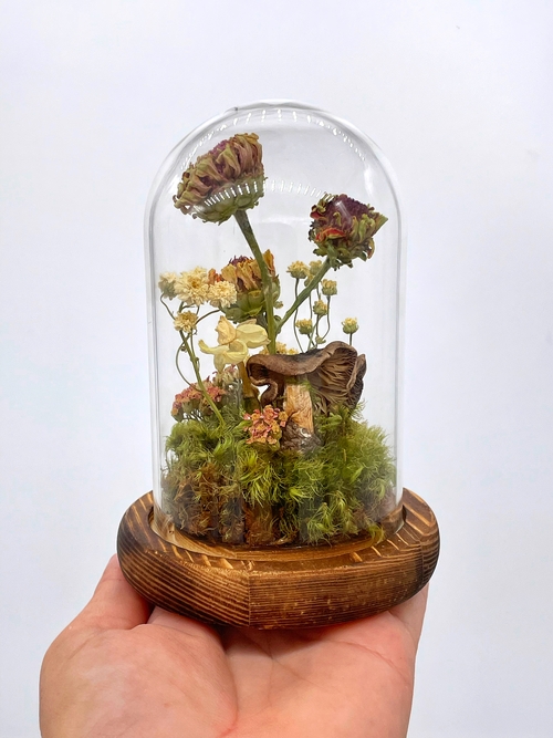 Dried Flower Zinnia Cloche Terrarium 