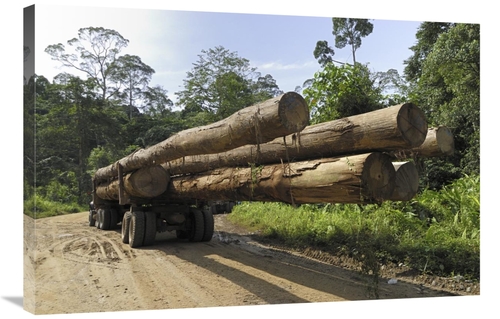 Global Gallery GCS-397663-2436-142 24 x 36 in. Truck with Timber From 