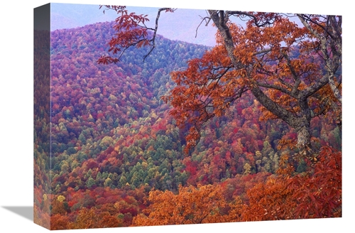 Global Gallery GCS-397021-1216-142 12 x 16 in. Blue Ridge Range with A