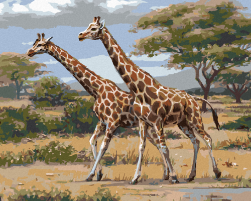 Zuty - Paint by Numbers - AFRICAN SAFARI GIRAFFES (JOE HAUTMAN), 40x50