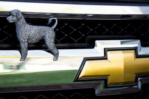 Grillie Water Dog-P Water Dog Antique Pewter Ornament, 4.25 x 4.75