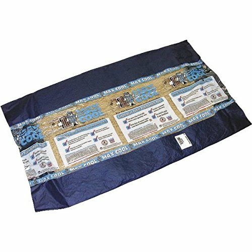 Dial Manufacturing 4517272 20 x 22 in. Aspen Cooler Pad