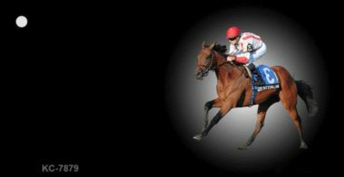 Smart Blonde KC-7879 Horse Race Offset Novelty Key Chain