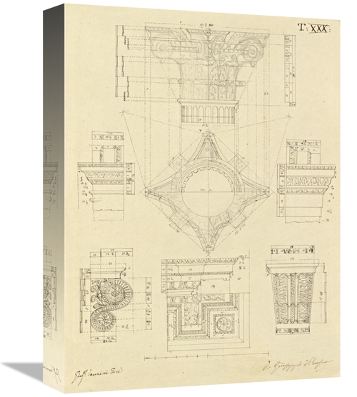 Global Gallery GCS-453966-1216-142 12 x 16 in. Plate 30 for Elements o