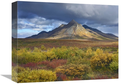 Global Gallery GCS-396552-1216-142 12 x 16 in. Ogilvie Mountains, 