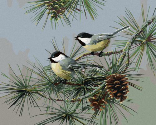 Zuty - Paint by Numbers â€“ CHICKADEE ON A CONIFEROUS BRANCH (JAMES