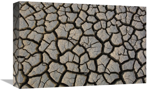 Global Gallery GCS-397934-1218-142 12 x 18 in. Cracked Mud on the Salt