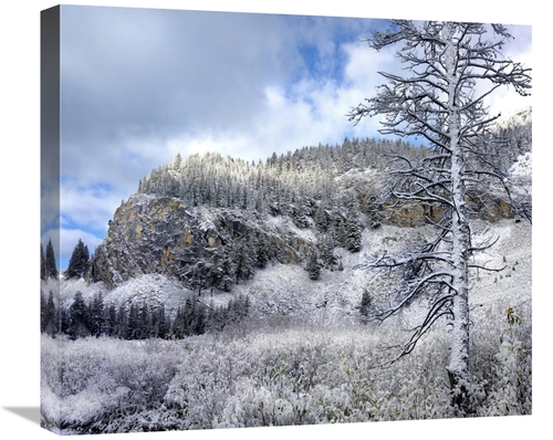 Global Gallery GCS-396196-22-142 22 in. Light Snow Covering Boulder Mo