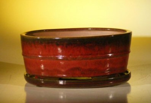 Parisian Red Ceramic Bonsai Pot - Oval Professional Series with